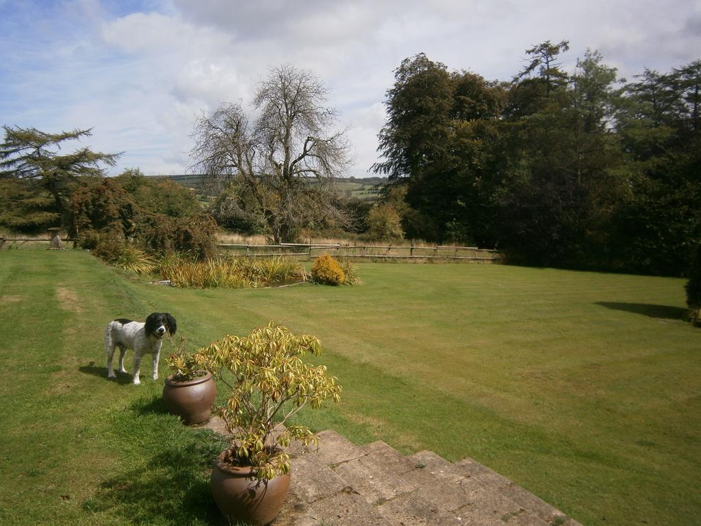 Stockleigh Lodge B&B Exford Exterior foto